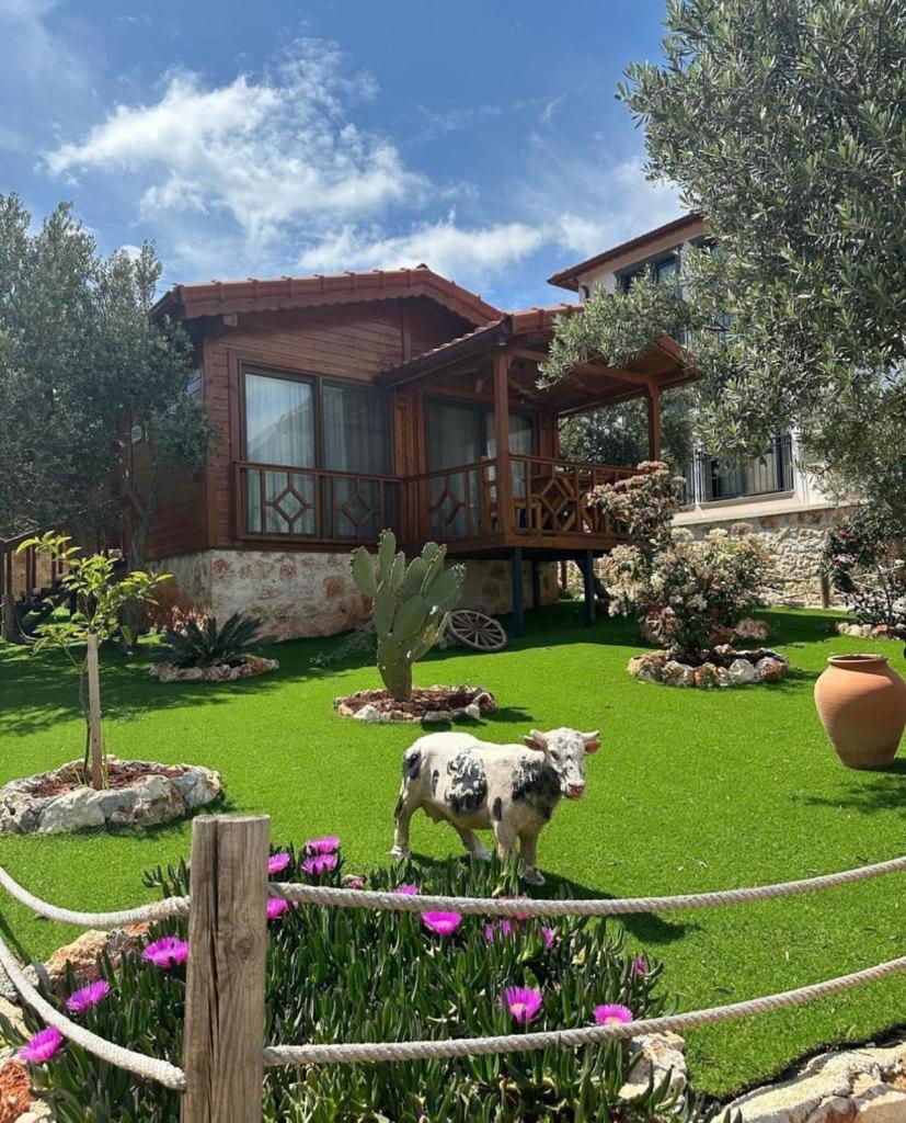 Doganin Ruhu Hotel & Bungalow Kaş Exteriör bild