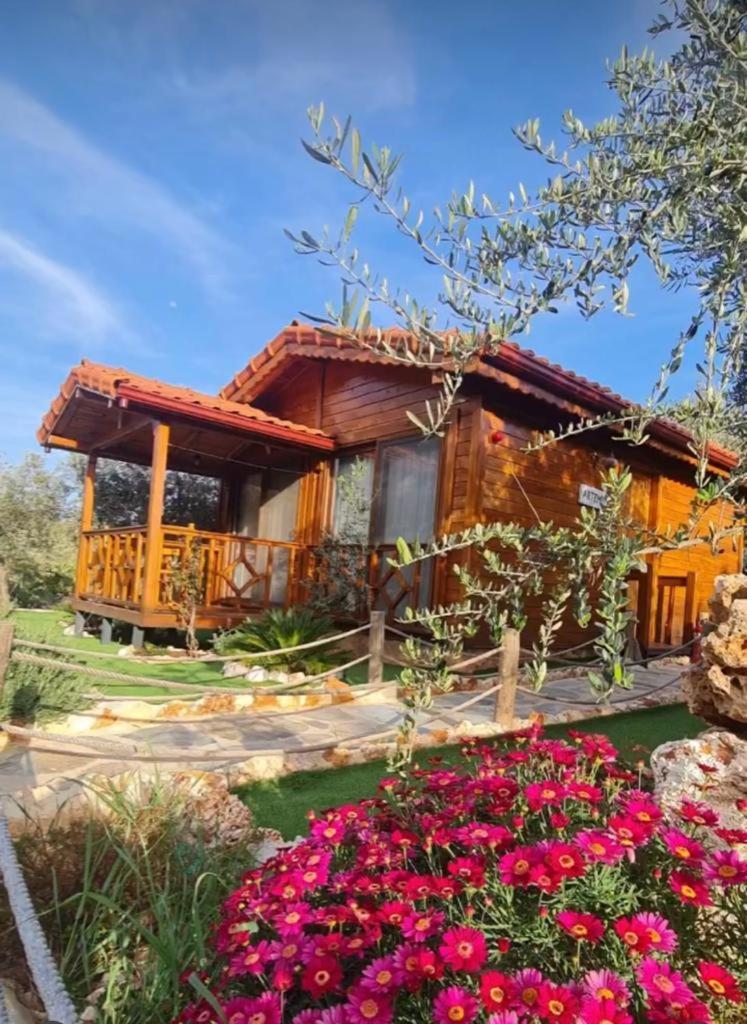 Doganin Ruhu Hotel & Bungalow Kaş Exteriör bild
