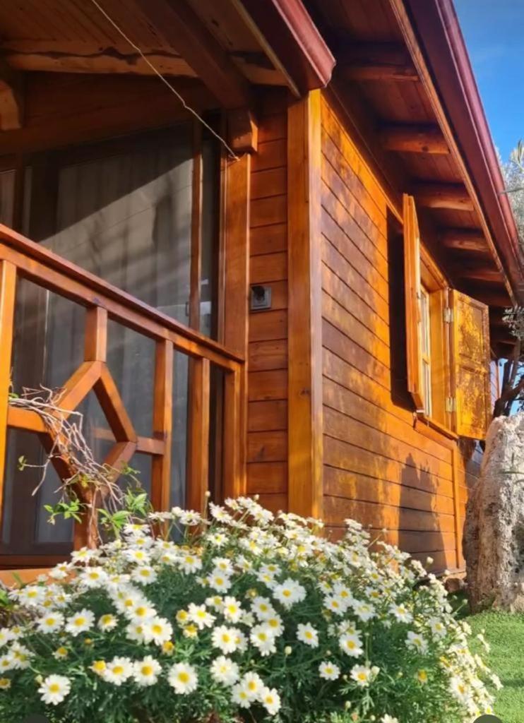 Doganin Ruhu Hotel & Bungalow Kaş Exteriör bild